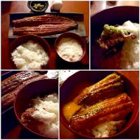 Midnigh meals🌝